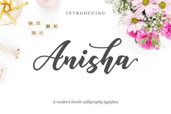 Anisha: A Script Handwritten Font for Modern Web Design