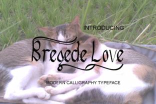 Bregede Love: A Script Handwritten Font for Campaign Creativity