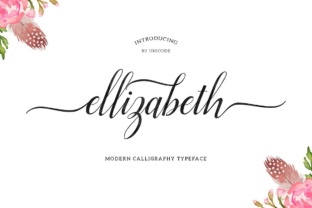 Ellizabeth for Campaign Design and Brand Identity
