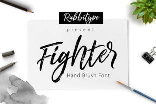 Fighter: A Script Font for Editorial Elegance