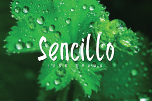 Sencillo Font Review: A Versatile Script Handwritten Choice