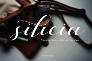 Silicia: The Script Font That Elevates Your Brand’s Visual Story